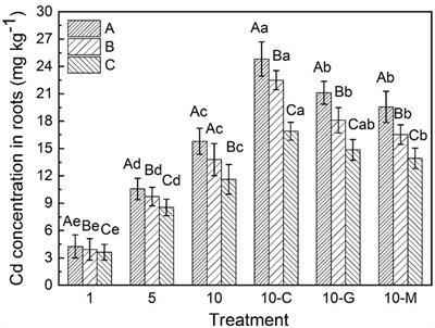 Impact of soil types and root exudates on cadmium and petroleum hydrocarbon phytoremediation by Sorghum sudanense, Festuca arundinace, and Lolium perenne